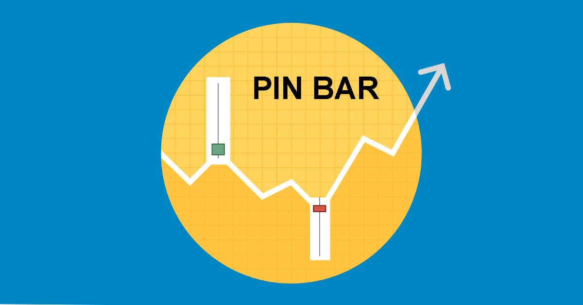 Chiến lược giao dịch Price action sử dụng Pin Bar đơn giản nhất   Investingvn