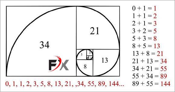 tác_dụng_của_dãy_số_Fibonacci.jpg