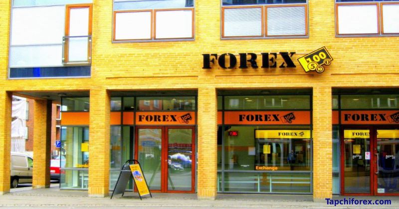 Hướng dẫn giao dịch Forex cơ bản cho nhà đầu tư mới bắt đầu