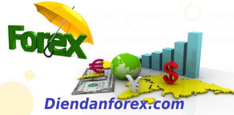 IB Forex nói gì để chiêu dụ nhà đầu tư?