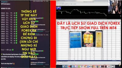 CHỨNG MINH BẰNG LỊCH SỬ GIAO DỊCH FOREX MỚI LÀ GIÁ TRỊ CÒN THỐNG KÊ ĂN BAO NHIÊU PIP CHỈ LÀ TRÒ LỪA ĐẢO