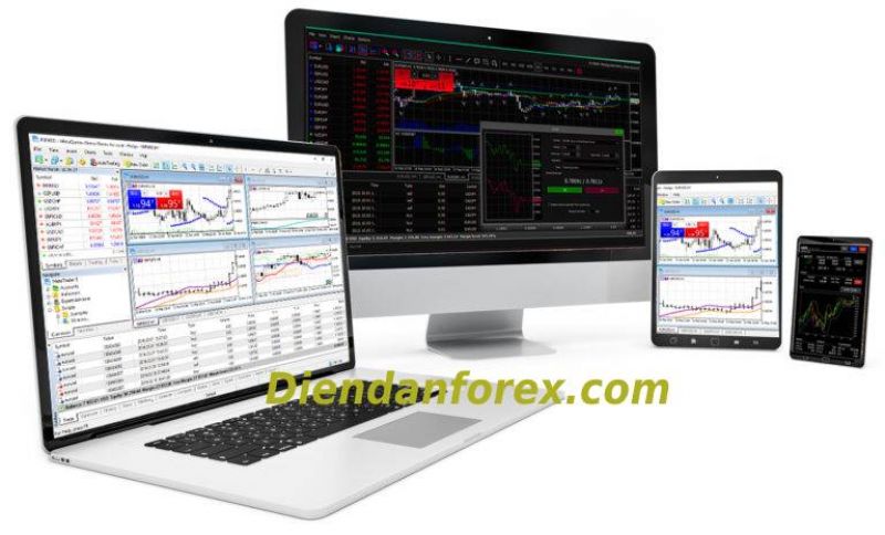 Học Forex: Theo dõi những Trader kiếm được tiền từ Forex