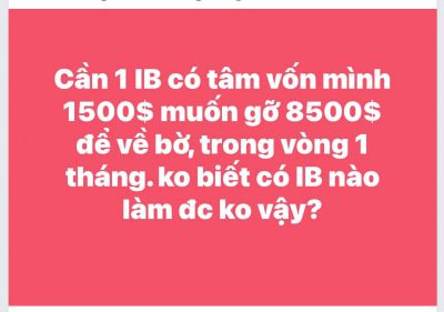 THỊ TRƯỜNG FOREX IB CÓ TÂM GIÚP NHÀ ĐẦU TƯ FOREX VỀ BỜ HAY BÁN NHÀ