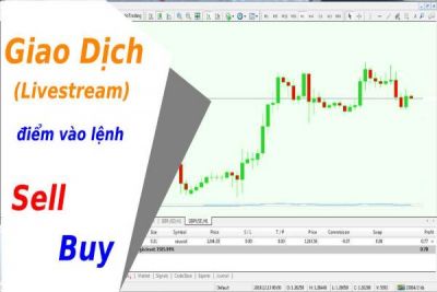Học Giao Dịch Forex | Thầy Phải Hướng Dẫn Giao Dịch Live